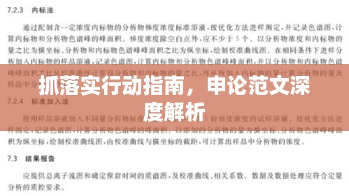 抓落实行动指南，申论范文深度解析