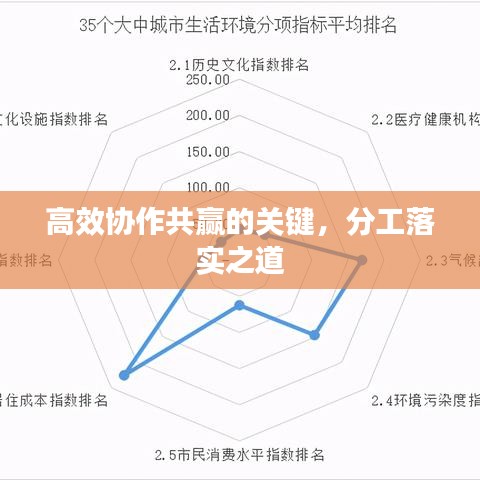 高效协作共赢的关键，分工落实之道