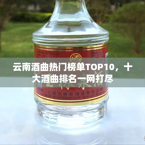 云南酒曲热门榜单TOP10，十大酒曲排名一网打尽