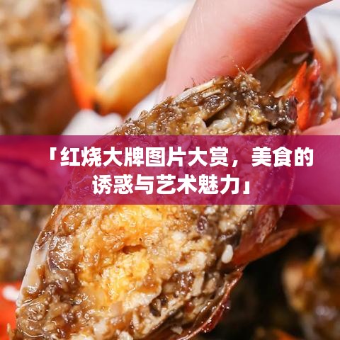 「红烧大牌图片大赏，美食的诱惑与艺术魅力」