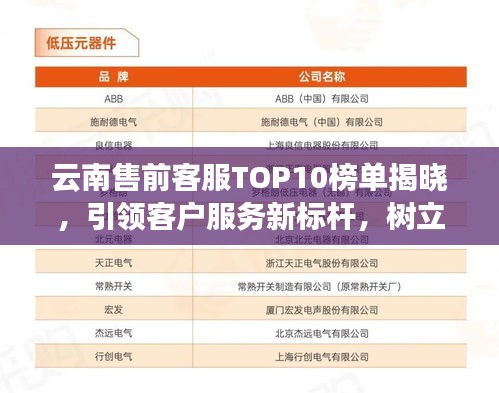 云南售前客服TOP10榜单揭晓，引领客户服务新标杆，树立行业典范！