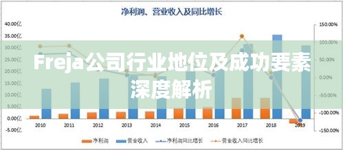 Freja公司行业地位及成功要素深度解析