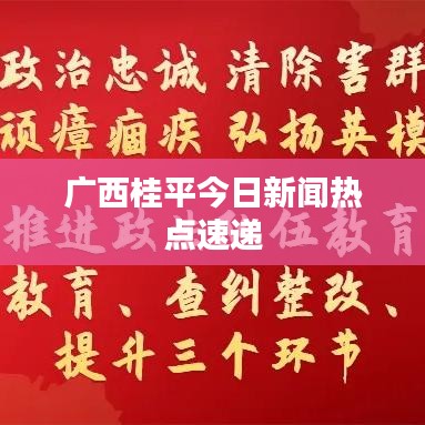 广西桂平今日新闻热点速递