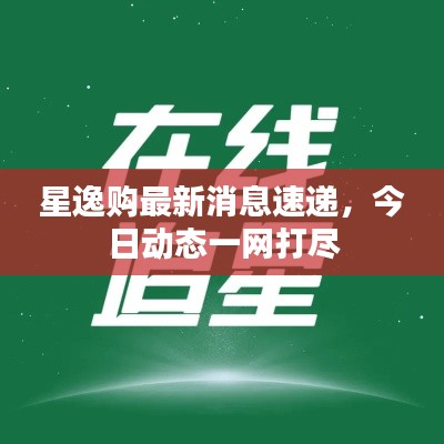 星逸购最新消息速递，今日动态一网打尽