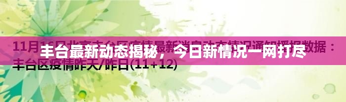 丰台最新动态揭秘，今日新情况一网打尽