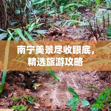 南宁美景尽收眼底，精选旅游攻略