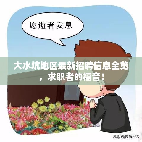 大水坑地区最新招聘信息全览，求职者的福音！