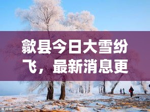 歙县今日大雪纷飞，最新消息更新！