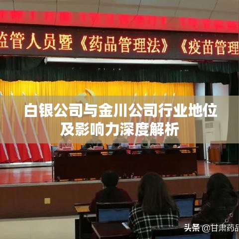 白银公司与金川公司行业地位及影响力深度解析