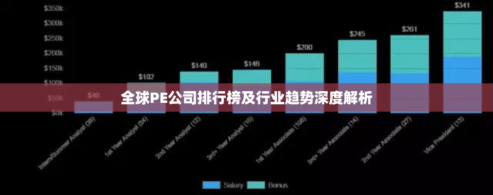 全球PE公司排行榜及行业趋势深度解析