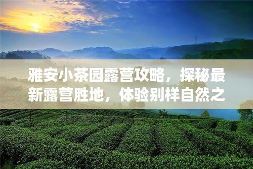 雅安小茶园露营攻略，探秘最新露营胜地，体验别样自然之旅