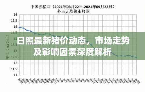 日照最新猪价动态，市场走势及影响因素深度解析