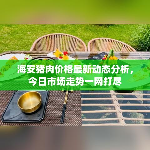 海安猪肉价格最新动态分析，今日市场走势一网打尽