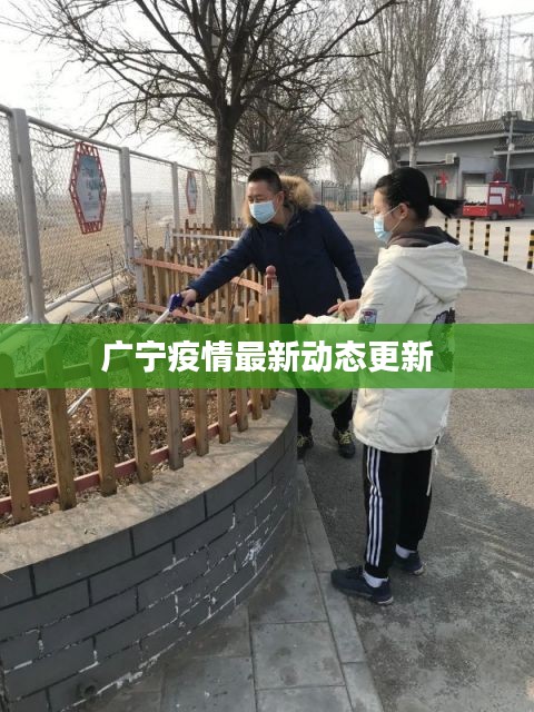 广宁疫情最新动态更新