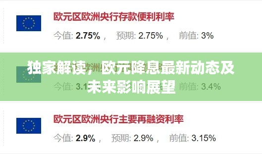 独家解读，欧元降息最新动态及未来影响展望
