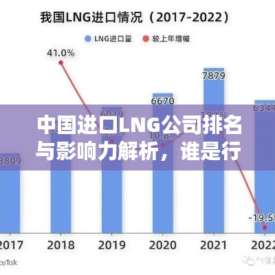 中国进口LNG公司排名与影响力解析，谁是行业巨头？