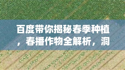 百度带你揭秘春季种植，春播作物全解析，洞悉中国农田新动态