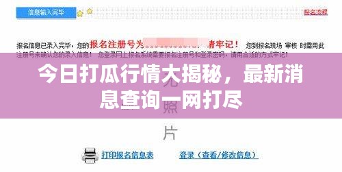 今日打瓜行情大揭秘，最新消息查询一网打尽