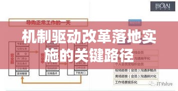 机制驱动改革落地实施的关键路径