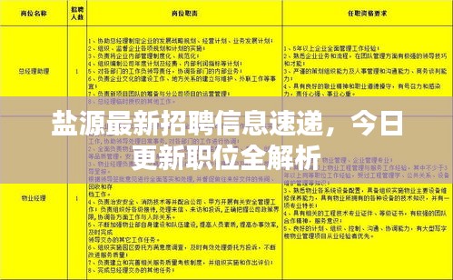 盐源最新招聘信息速递，今日更新职位全解析