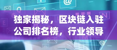 独家揭秘，区块链入驻公司排名榜，行业领导者与发展趋势一网打尽！