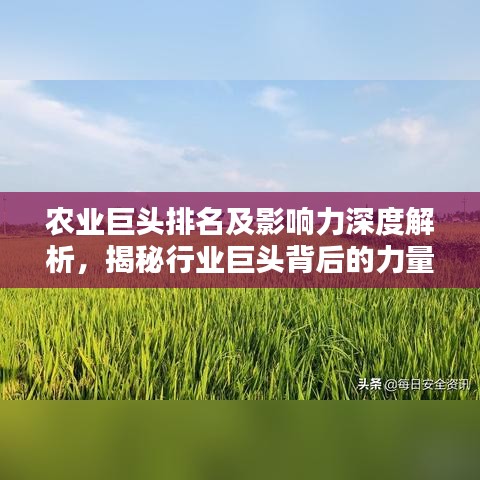 农业巨头排名及影响力深度解析，揭秘行业巨头背后的力量