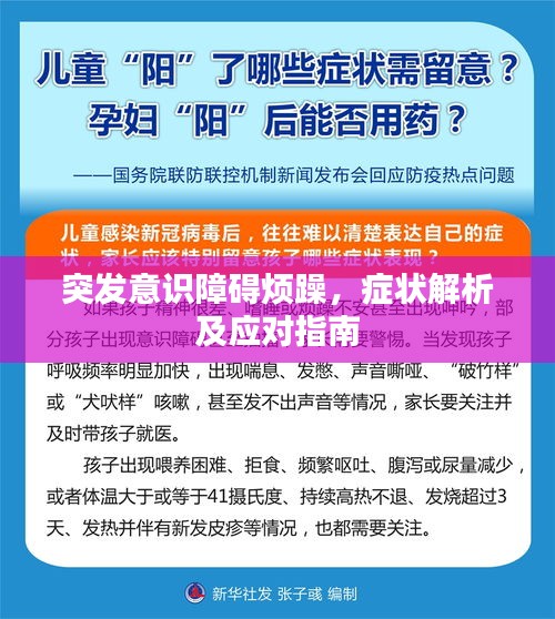 突发意识障碍烦躁，症状解析及应对指南