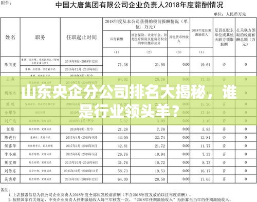 山东央企分公司排名大揭秘，谁是行业领头羊？