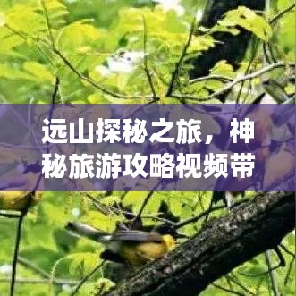 远山探秘之旅，神秘旅游攻略视频带你畅游未知境地