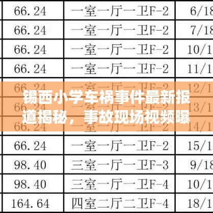 锡西小学车祸事件最新报道揭秘，事故现场视频曝光