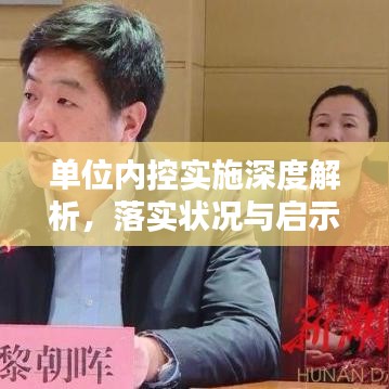 单位内控实施深度解析，落实状况与启示