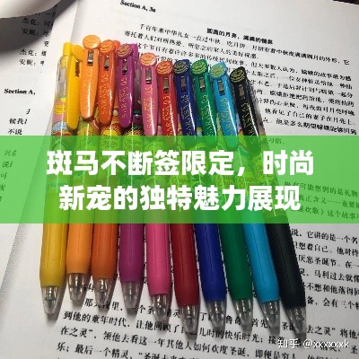 斑马不断签限定，时尚新宠的独特魅力展现