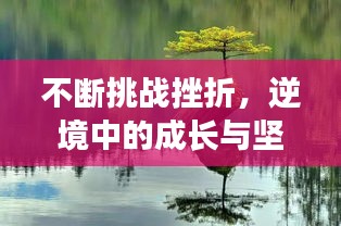 不断挑战挫折，逆境中的成长与坚韧不拔之路