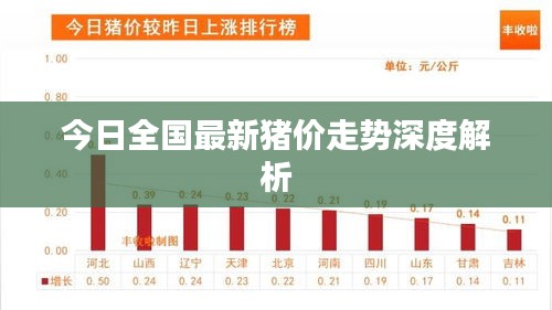 今日全国最新猪价走势深度解析