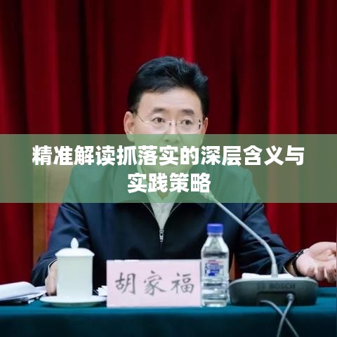 精准解读抓落实的深层含义与实践策略