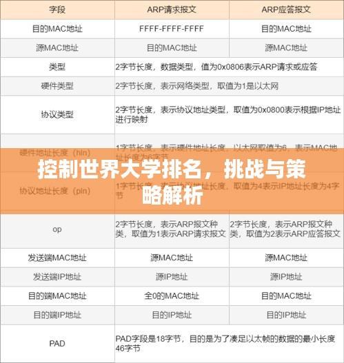 控制世界大学排名，挑战与策略解析