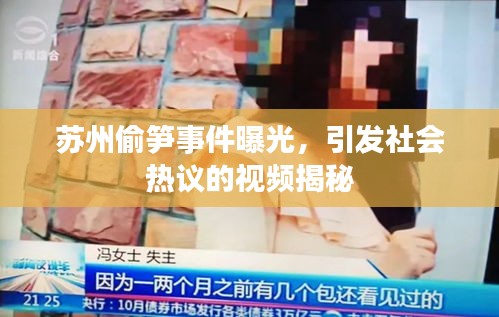 苏州偷笋事件曝光，引发社会热议的视频揭秘