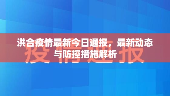 洪合疫情最新今日通报，最新动态与防控措施解析