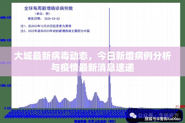 大城最新病毒动态，今日新增病例分析与疫情最新消息速递