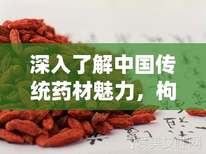 深入了解中国传统药材魅力，枸杞子的奥秘揭秘