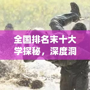 全国排名末十大学探秘，深度洞察与解析