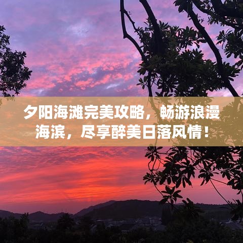 夕阳海滩完美攻略，畅游浪漫海滨，尽享醉美日落风情！