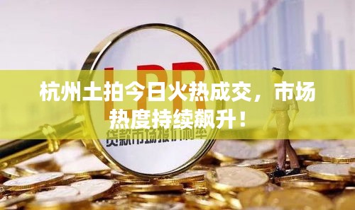 杭州土拍今日火热成交，市场热度持续飙升！