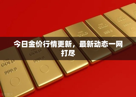今日金价行情更新，最新动态一网打尽