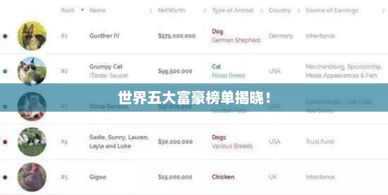 世界五大富豪榜单揭晓！