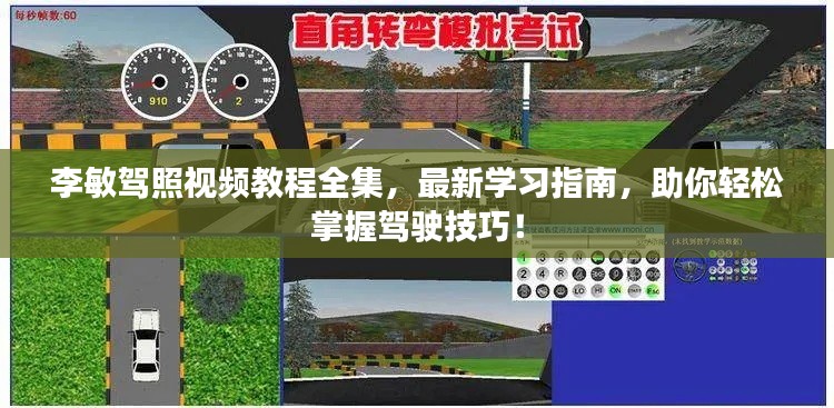 李敏驾照视频教程全集，最新学习指南，助你轻松掌握驾驶技巧！