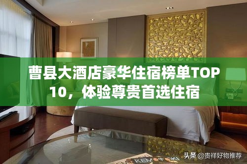 曹县大酒店豪华住宿榜单TOP10，体验尊贵首选住宿