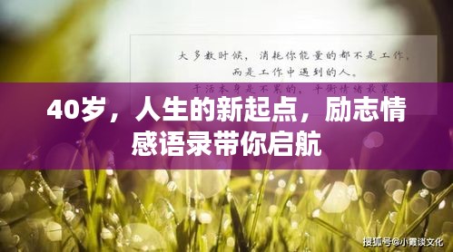 40岁，人生的新起点，励志情感语录带你启航