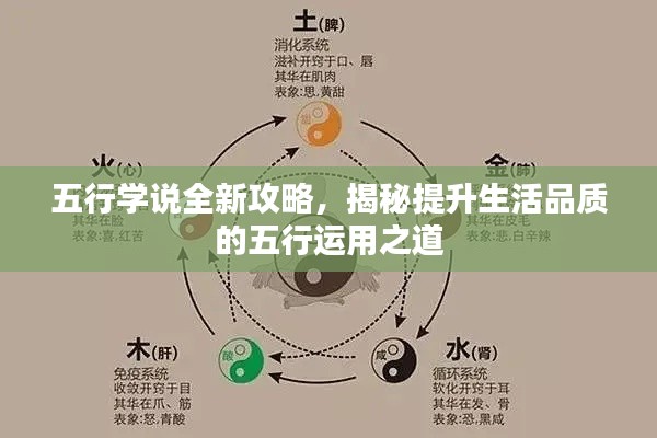 五行学说全新攻略，揭秘提升生活品质的五行运用之道